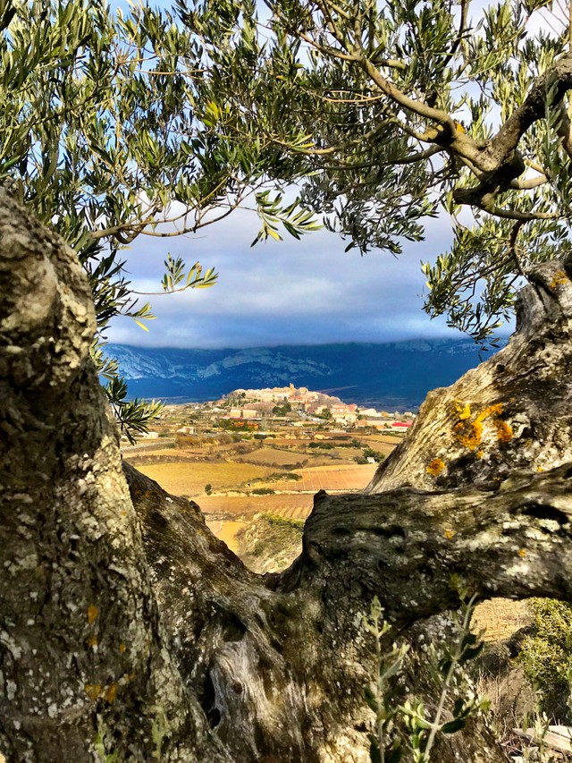 rioja wine tours SCENERY