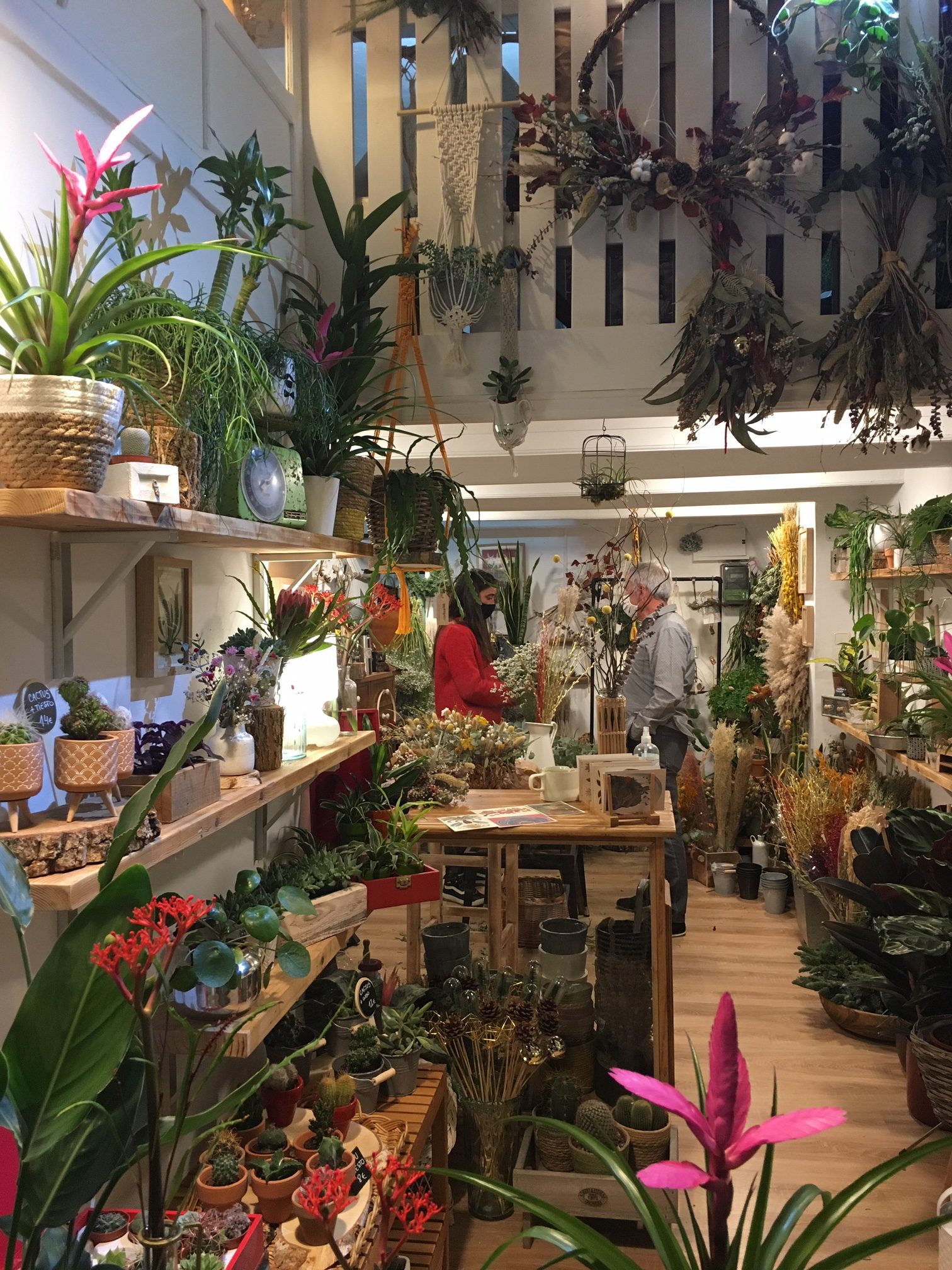 Botanikum flower shop in San Sebastian