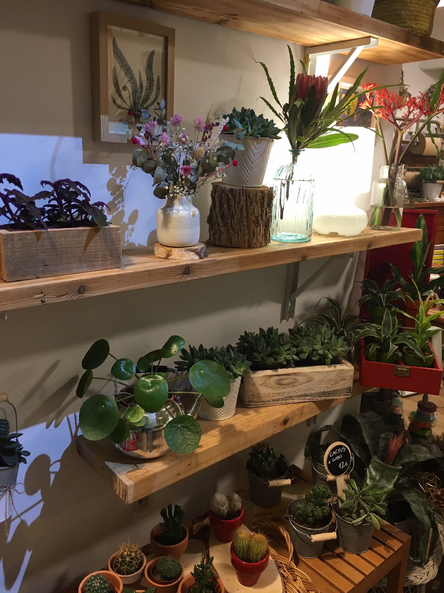 Botanikum flower shop in San Sebastian