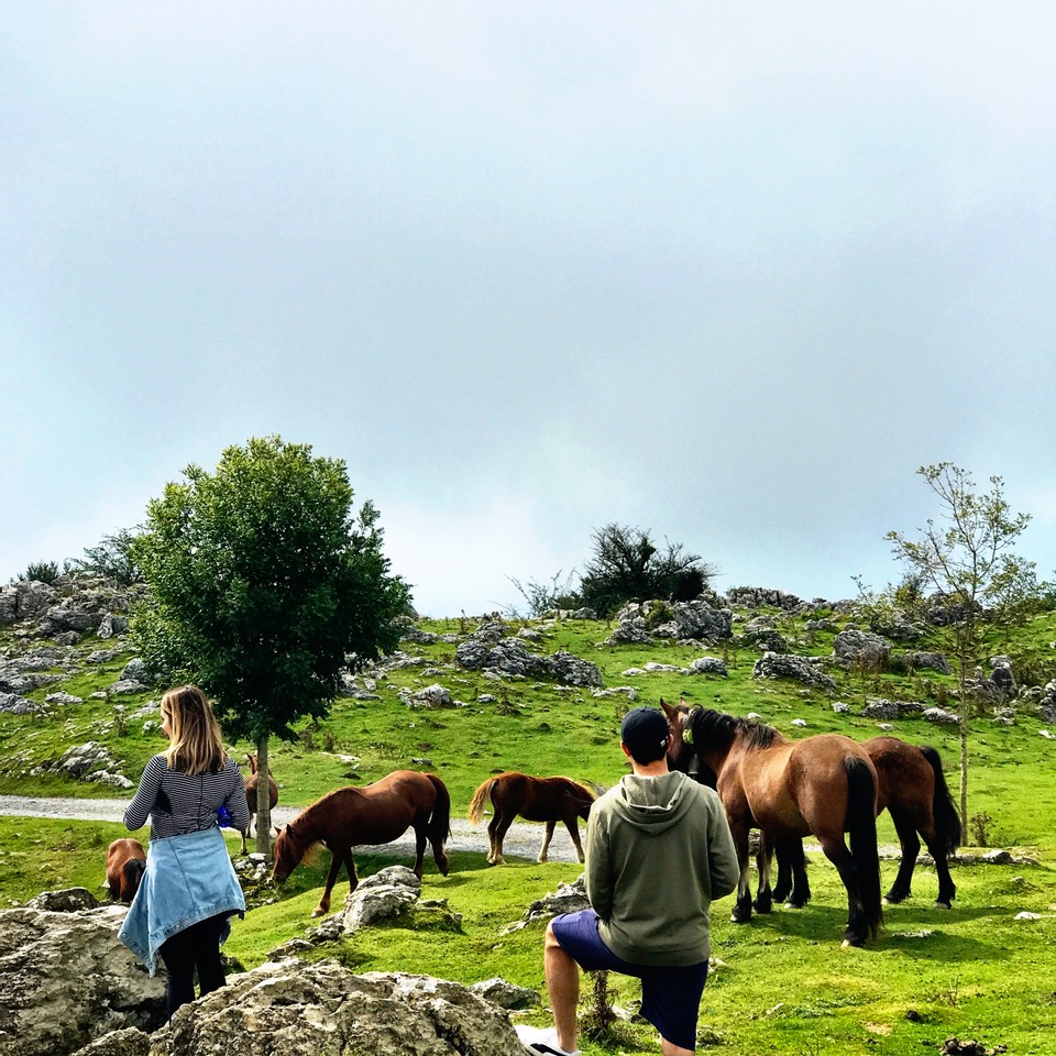 Family trip to San Sebastian